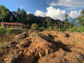 Terracotta Kinigi - 7