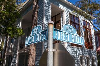 Just for Fun Main and Carriage - Santa Rosa Beach - 4