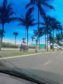 Aconchego - Praia Grande - 4