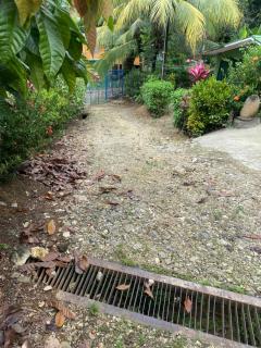 Finca Bosques de Osa - 6