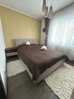 Ingrid home 3 camere - Vatra Dornei - 7