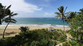 Best-View Penthouse on Kite Beach, Cabarete - Cabarete - 1