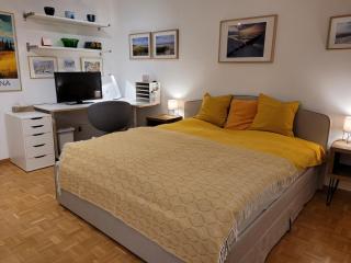 Studio Klagenfurt - City View - 5