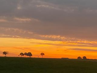 Gite les Gambettes - 7