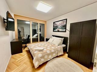 Cosy apartment in Lausanne - 1