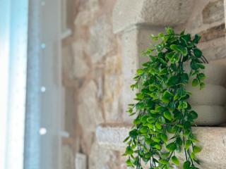 Cretan Nature Stone Apartment - 7