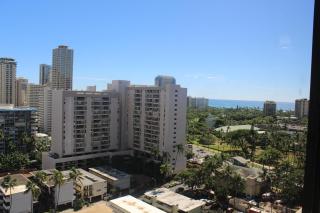 Lovely Hawaiian Monarch Studio - 5