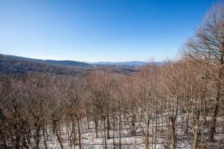 Soaring Ravens View - 8