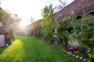 Snašini kućari - 5