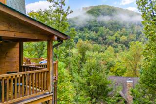 Smokey's Lodge - Gatlinburg - 1