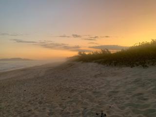 Paz e tranquilidade - 4