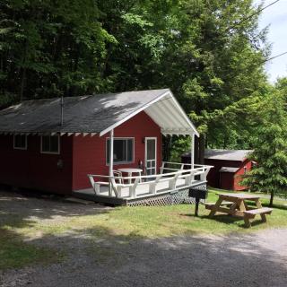 Trekker, Treehouses cabins and lodge rooms - 9