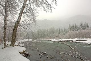 Four Stone Lodge - Greenwater - 0