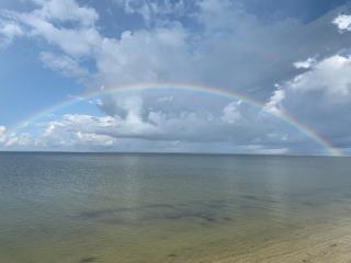 Once Upon A Tide - Highland View - 5
