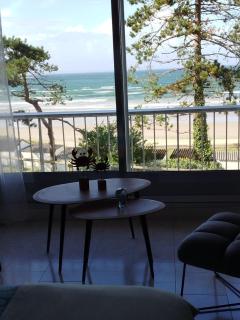 La Baie en direct du Balcon ! - Douarnenez - 5