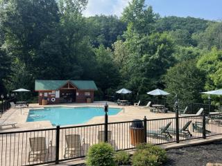 Running Bear Near PF Hot Tub Game Room Theater and Stunning Views - Sevierville - 2