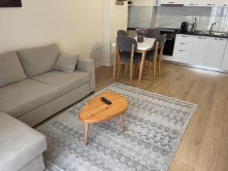 Jona lovely 2 bedroom 2 bathroom ap Free parking - Tirana - 5