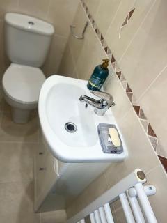 Castlereagh Belfast beauty - 1