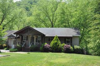 Toccoa Fish Trap - Mineral Bluff - 9