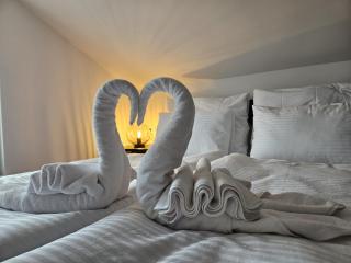 Luxury Loft Apartment Mandre - 6