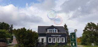 Wieckinger - Wieck - 2
