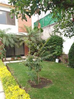 Alojamiento Buganvilia - Oaxtepec - 1