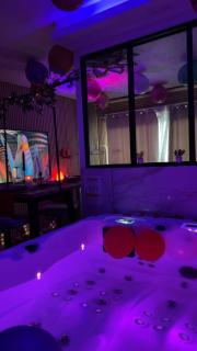 Love room nantais - Nantes - 6