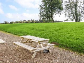 Ballyconnery Bliss - 4