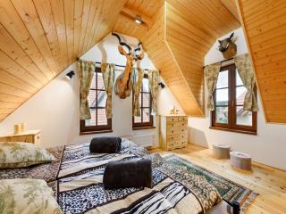 Villa in Bohemia near thermal spring - 3