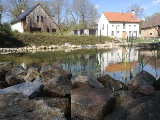 Villa in Le any with Sauna and Jacuzzi - Lešany - 2