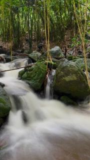 MANAPURATH Homestay - 9