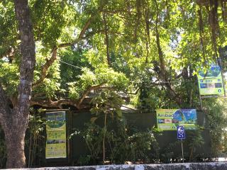 Cabinas surf Arribadas - Playa Ostional - 7