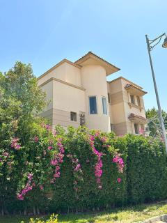 Jamila Home - Villa Royal City - Sheikh Zayed - 6