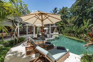 The Blue Parrot Villa by BaliSuperHost - Ubud - 8