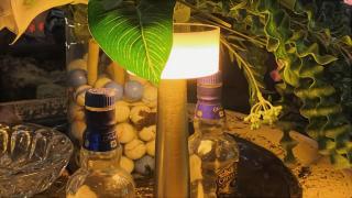 CampSarap Hostel & Resort - 5