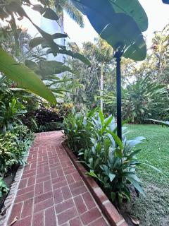 2 Bedroom Treetop Condo - Puerto Vallarta - 1