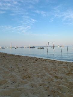 Maison cap ferret proche des plages - Lège-Cap-Ferret - 0