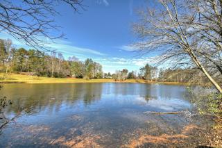 Moon Tower Cabin - Beautiful Water Views Firepit More - Blairsville - 7