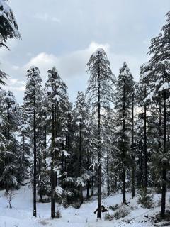 Sunrise home stay - Khajjiar - 2