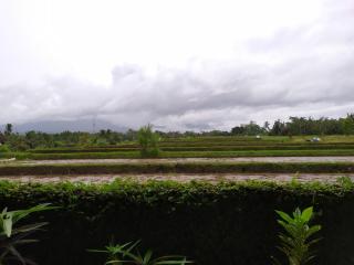 Candi Guest House - Penebel - 2
