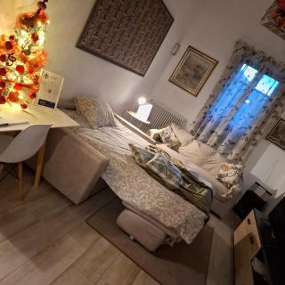 Casa Magenta Appartamento con giardino e bbq ad Asti - Asti - 8