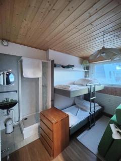 Résidence Saint Laurent - APPARTEMENT ALPE D'HUEZ QUARTIER VIEL ALPE MAE-9501 - Huez - 1