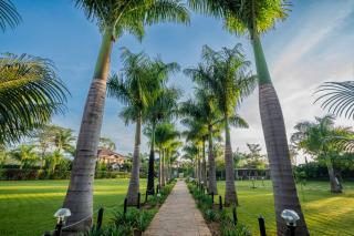 Ciala Resort Hotels In Kisumu - 9