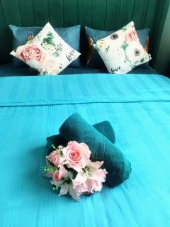 Alanis Lovely Stay - Sepang - 3