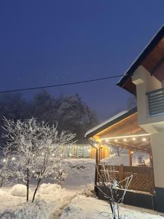 Villa Lux Nature - 3