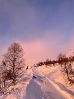 Chalet Skogshorn - 6