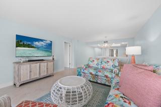 Sanddollar #A202 - Ybel - 6