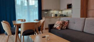 Apartament przy stoku pod lasem i z tarasem - Powrócisz Tu Hillside - 6