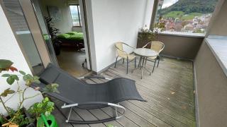 Panorama-Wohnung in Laufenburg mit Carport und Bahn-Bus-gratis KONUS - Laufenburg - 9