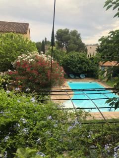 Le 140 du Ventoux - Saint-Saturnin-lès-Avignon - 8